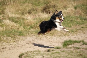 10885263_10205543041920457_356402281223936327_n