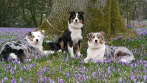 11293448_10206673015689095_1566261448_o