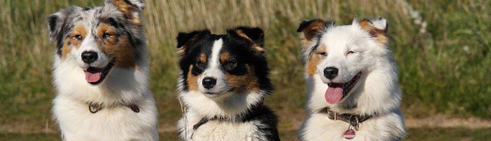 Willkommen bei den Spitfire Aussies